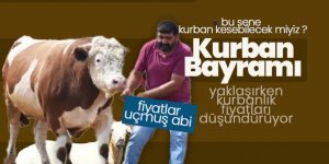 Büyükbaş ve küçükbaş kurbanlık fiyatları el yakıyor...
