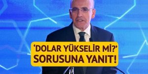 'Dolar yükselir mi?' sorusuna Bakan Şimşek'ten net cevap