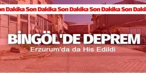Bingöl'de deprem meydana geldi: Çevre illerde de hissedildi