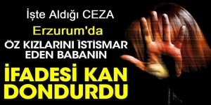 Erzurum'da istismarcı babaya 12 yıl hapis