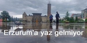 Erzurum yazı değil baharı yaşıyor!