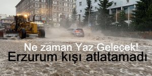 Erzurum kışı atlatamadı: Yaz ne zaman Gelecek!