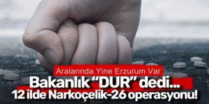 Erzurum ve 11 ilde Narkoçelik-26 operasyonu: 57 gözaltı
