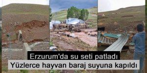 Erzurum'da DSİ'ye ait su seti patladı: Yüzlerce hayvan baraj suyuna kapıldı