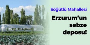 Erzurum'un sebze deposu