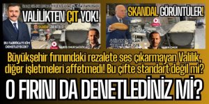 Büyükşehir'in fırınına göz yuman Valilik, 229 işletmeye ceza yağdırdı