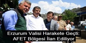 Afet bölgesi ilan edilmesi için Erzurum Valisi düğmeye bastı!
