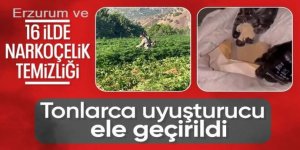 Zehir tacirlerine Erzurum ve 15 ilde operasyon: 59 gözaltı