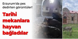 Erzurum'da Tarihi mekanlara hayvan bağladılar