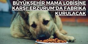 Erzurum'da mama fabrikası kuruluyor