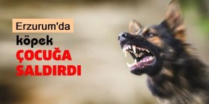 Erzurum'da Oyun oynarken köpek saldırdı