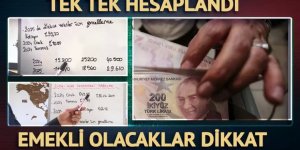 Emekli olmak için yeni yılı beklemeyin!