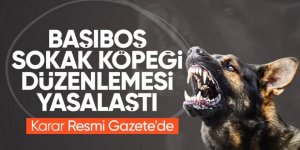 Sokak hayvanları yasası Resmi Gazete'de
