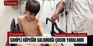 Erzurum'da Oğluna köpek saldıran baba: "Yeni yasayı destekliyoruz"