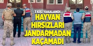 Horasan' da Hayvan hırsızları yakayı ele verdi