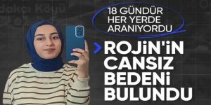 Van'da kaybolan üniversite öğrencisi Rojin'den acı haber