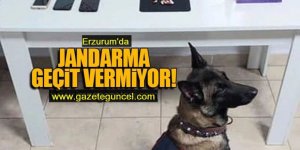 Erzurum'da jandarma suçlulara geçit vermiyor