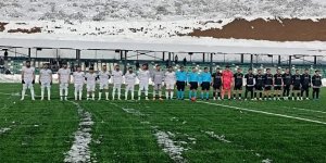 Tortum evinde aslan