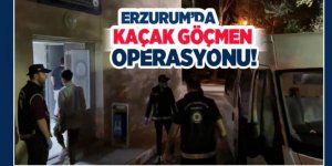 Erzurum'da kaçak göçmen yağıyor: Bu kez 37'si yakalandı