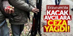 Erzurum'da jandarmadan kaçak avcı avı