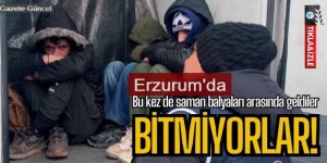 Erzurum'da Saman balyaları arasından çıktılar