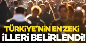 Türkiye'nin en zeki illeri belirlendi!