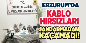 Erzurum'da kablo hırsızları yakalandı
