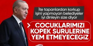 Erdoğan'dan belediyelere "başıboş köpek" uyarısı: Görevinizi yapın