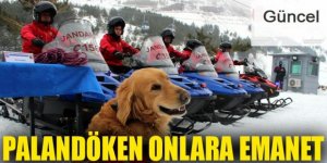 Palandöken Jandarma'ya emanet
