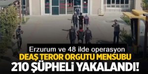 210 DEAŞ şüphelisi yakalandı