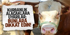 Birdal uyardı: Gebeleri kurban etmeyin!