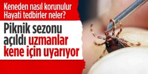 Erzurum'a bahar geldi uzmanlar uyarılara başladı...