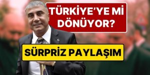 Sedat Peker geri mi dönüyor? MHP'li Yönter'den dikkat çeken paylaşım
