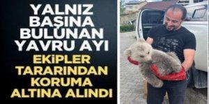 Erzurum'da Çobanların bulduğu ayı yavrusu koruma altına alındı
