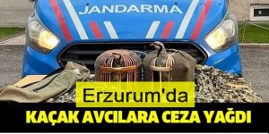 Erzurum'da kaçak ava ceza yağdı