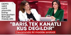 Devlet Bahçeli'den yeni mesaj: Barış tek kanatlı bir kuş değildir