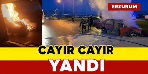 Erzurum'da Araçta yangın çıktı! Otomobil kullanılamaz hale geldi