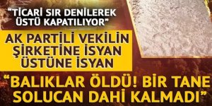 AK Partili vekilin şirketine isyan!