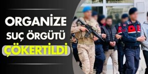 4 ilde dolandırıcılık operasyonu: 35 tutuklama