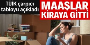 TÜİK: Vatandaşın kiraya ayırdığı bütçe arttı