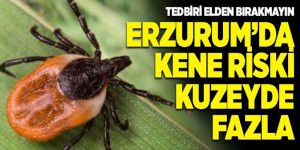 Erzurum Valiliğinden Kene uyarısı