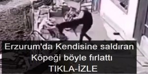 Erzurum'da Kendisine saldıran köpeği böyle fırlattı