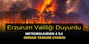 Erzurum Valiliği Duyurdu: Meteorolojiden orman yangını uyarısı!