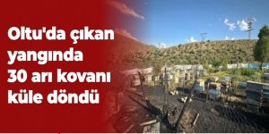 Anız yangınında arı kovanları zarar gördü