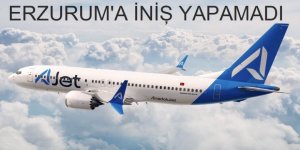 İstanbul uçağı, Erzurum'a iniş yapamadı