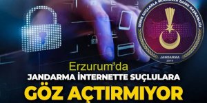 Erzurum'da Jandarma siber suçlulara göz açtırmıyor