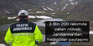 3 Bin 200 rakımda vatan nöbeti: Jandarma'dan Yedigöller paylaşımı