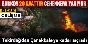 Tekirdağ ve Çanakkale'de orman yangını!
