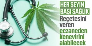 Tıbbi kenevir teklifi yasalaştı: Süreç nasıl işleyecek?