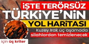 Silah bırakan PKK'lılar için süreç nasıl işleyecek?